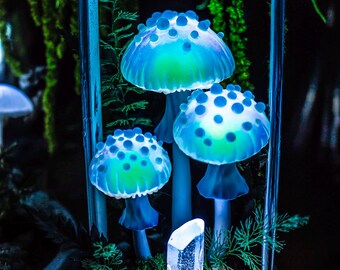 Blau irisierende Pilz Lampe in Laterne MADE to ORDER - Fungi Nachtlicht - Pilze -Feenwald leuchtende Wohnkultur -blauer Pilz Kunst