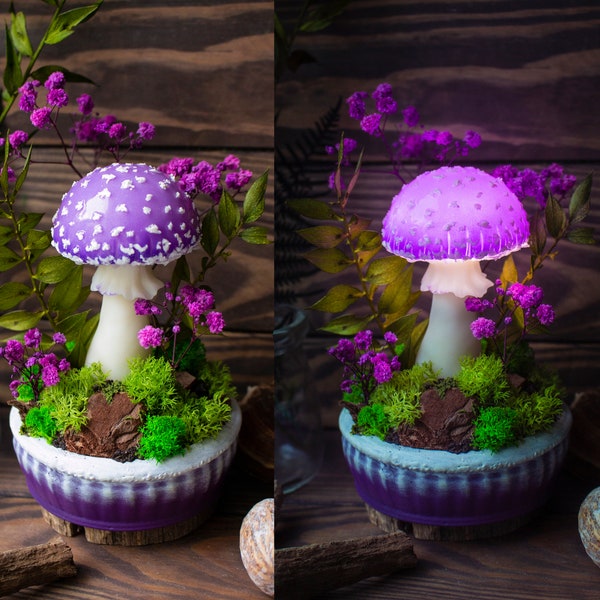 FABRIQUÉ SUR COMMANDE Lampe champignon - Champignon - Lampe Purple Fungi - Lumière forêt - Décor féerique - Décor nature