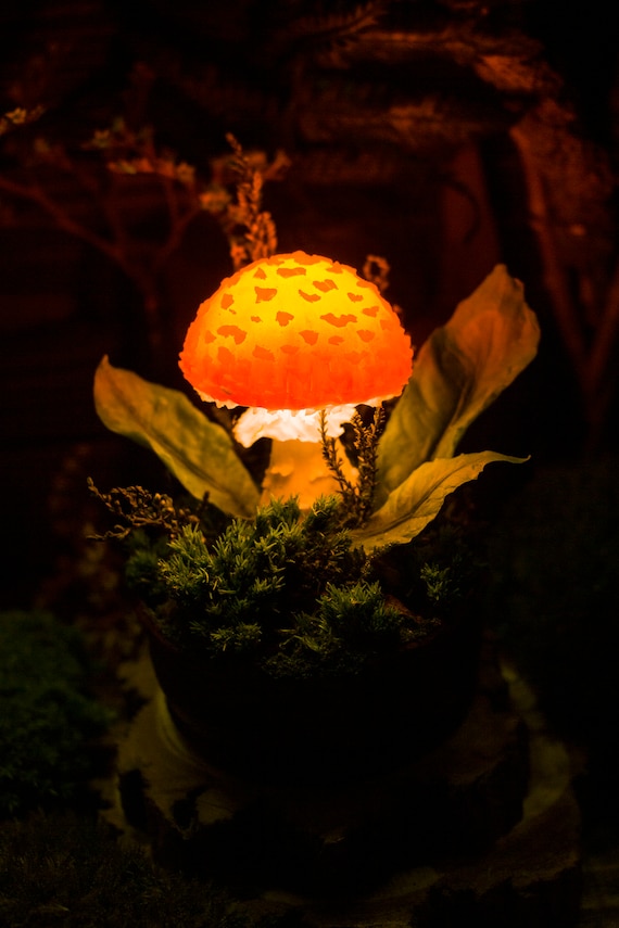 Mushroom Lamp MADE TO ORDER Mushroom Orange Mushroom Lamp Fungi