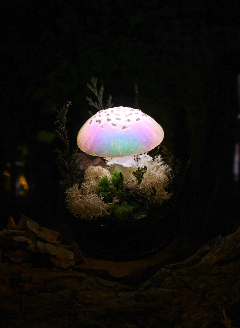 Puede incluir: Una l&aacute;mpara de hongo iridiscente y brillante con un tallo blanco, rodeada de musgo y l&iacute;quenes, se asienta sobre una superficie de madera oscura.