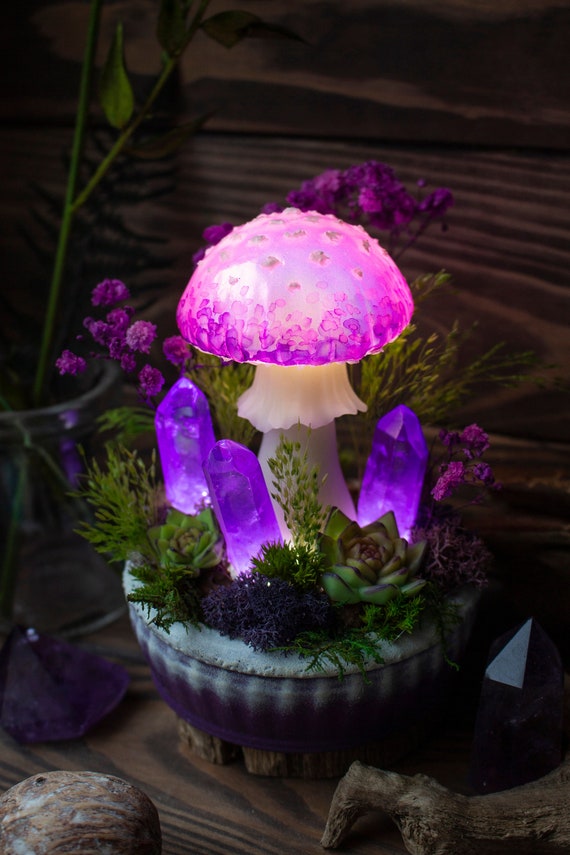Mushroom Lamp Made to Order Glowing Mushrooms With Crystals Fairy Glowing  Home Decor Fungi Light Fantasy Forest Glowing Fungus 