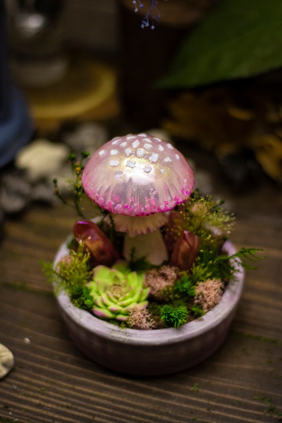 Mushroom fairy lamp online