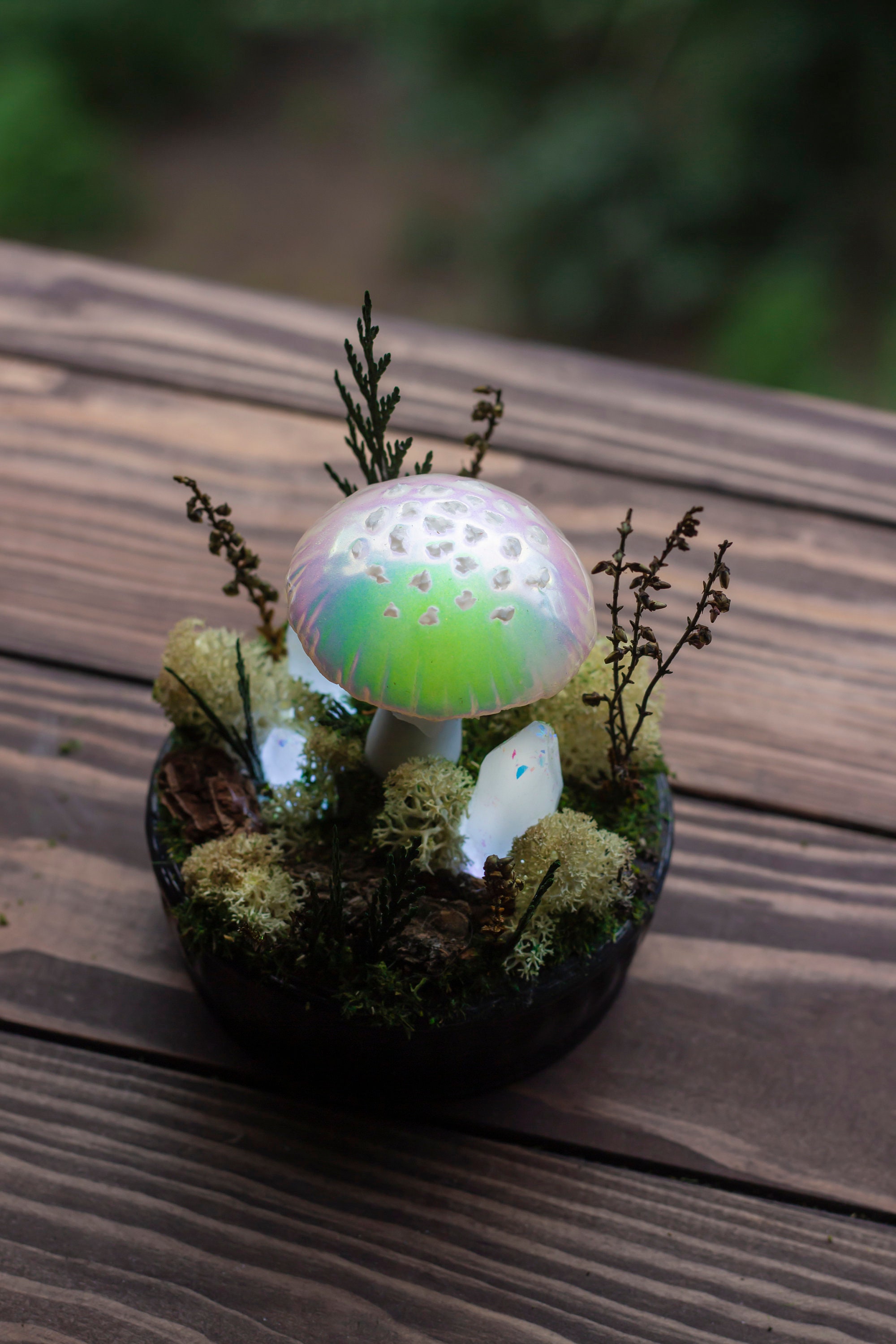 Mushroom Lamp Made to Order Glowing Mushrooms With Crystals Fairy Glowing  Home Decor Fungi Light Fantasy Forest Glowing Fungus 