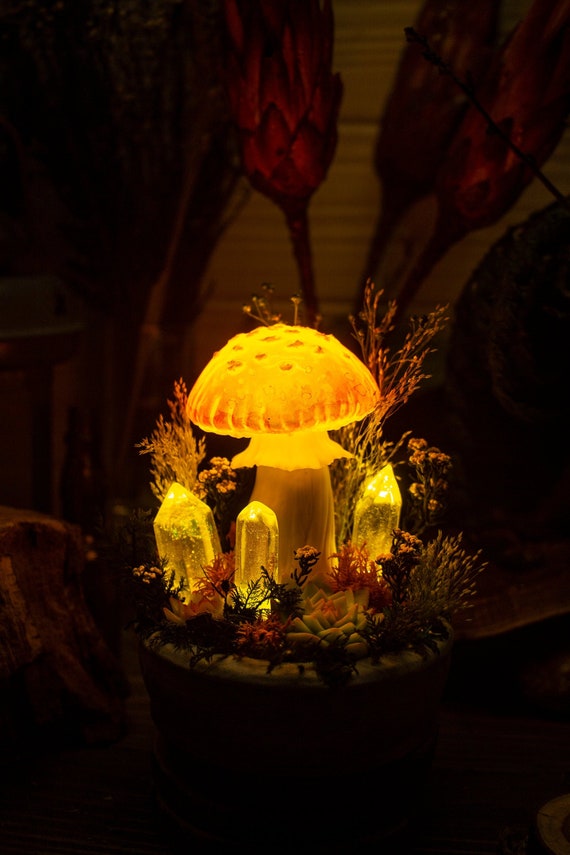 Mushroom Lamp Made to Order Glowing Mushrooms With Crystals Fairy Glowing  Home Decor Fungi Light Fantasy Forest Glowing Fungus 