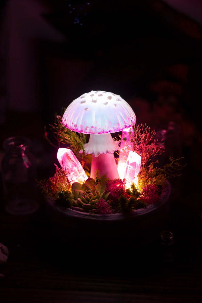 Mushroom Lamp MADE to ORDER Pink Mushroom Lamp With Crystals Etsy UK