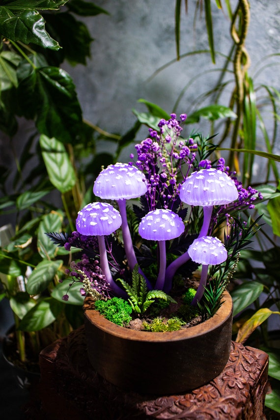 Mushroom Lamp Made to Order Glowing Mushrooms With Crystals Fairy Glowing  Home Decor Fungi Light Fantasy Forest Glowing Fungus 