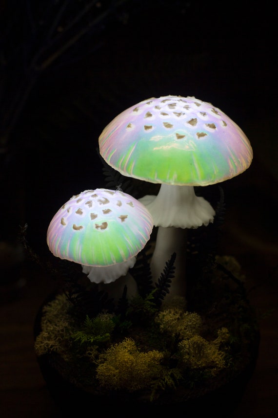 Mushroom Lamp MADE TO ORDER Mushrooms Mushroom Lamp Fungi Light Iridescence  Fairy Decor Glowing Sculpture Mushroom Light -  UK