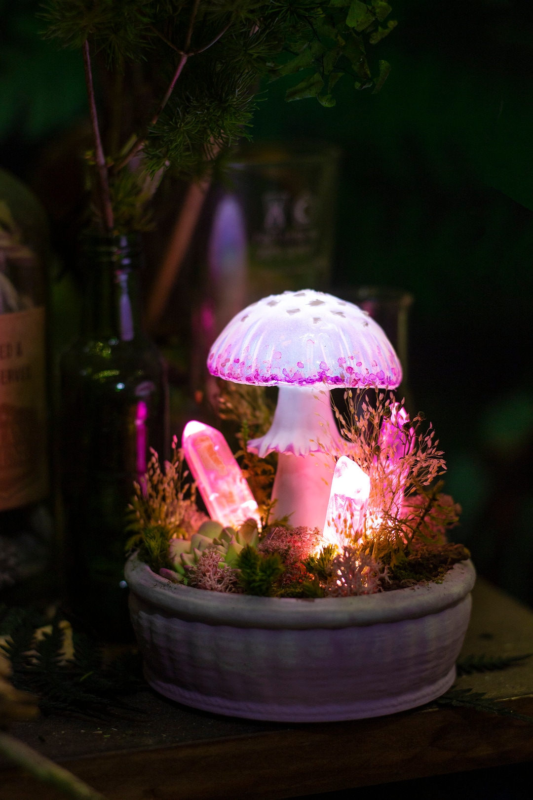 Mushroom Lamp MADE to ORDER Pink Mushroom Lamp With Crystals Fairy Glowing  Home Decor Fungi Light Fantasy Forest Glowing Mushrooms 