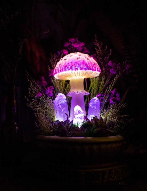 Mushroom Lamp Made to Order Glowing Mushrooms With Crystals Fairy Glowing  Home Decor Fungi Light Fantasy Forest Glowing Fungus 