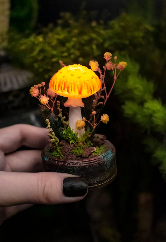MADE to ORDER Orange Tiny Mushroom Night Light Blue Mushroom Lamp Polymer  Clay Fungi Miniature Glow in the Dark LED Rechargeable 