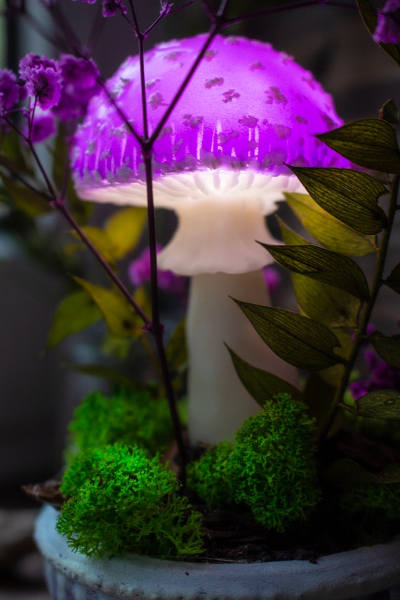 Mushroom Lamp MADE TO ORDER Mushrooms Mushroom Lamp Fungi Light Iridescence  Fairy Decor Glowing Sculpture Mushroom Light -  UK