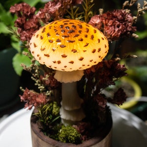 May include: A ceramic mushroom lamp with a brown and white speckled cap, sitting in a wooden planter with dried flowers and moss.