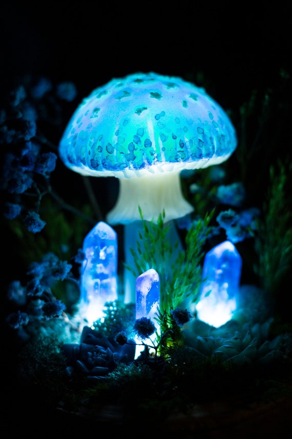 Gober Kit -Pendentif Lumineux LED Avec Clip - Olight Ance