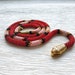 see more listings in the Colares SNAKE section