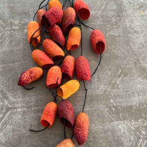 May include: A necklace made of natural materials, featuring a cluster of orange, red, and yellow pods hanging from a brown leather cord.
