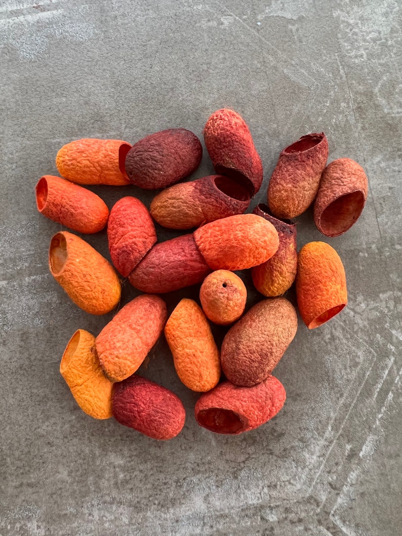 May include: A collection of 17 orange, red, and brown silk cocoons. The cocoons are arranged in a pile on a gray surface.