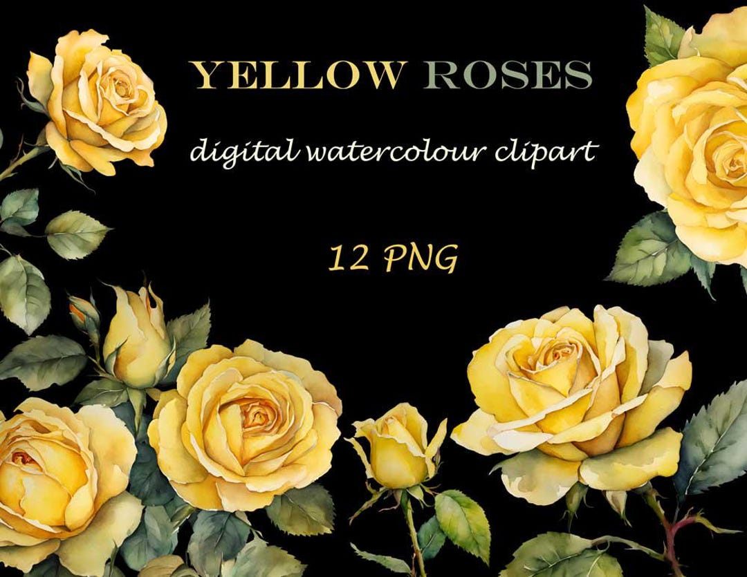 Yellow Roses Digital Yellow Rose Digital Watercolor Clipart – Hand-painted Floral ...