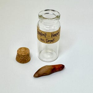 May include: A clear glass vial with a cork stopper and a small, brown, elongated object. The vial has a label that reads "Mesferit - Vampir 1922, Carpati". The object appears to be a tooth or claw.