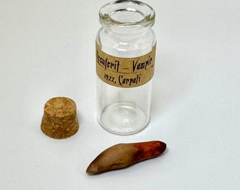 Puede incluir: Un vial de vidrio transparente con un tapón de corcho y un pequeño objeto alargado marrón. El vial tiene una etiqueta que dice "Mesferit - Vampir 1922, Carpati". El objeto parece ser un diente o una garra.