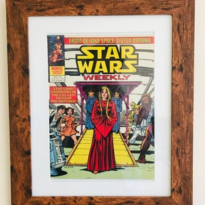 Vintage 1979 Starwars comic book (unframed)