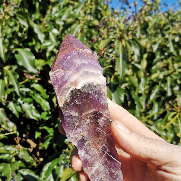 Raw Auralite 23 Sceptre 238g - Genuine Natural Auralite 23 Crystal Wand 170mm - Canadian Red Capped Chevron Amethyst - Rare Natural Tri Wand