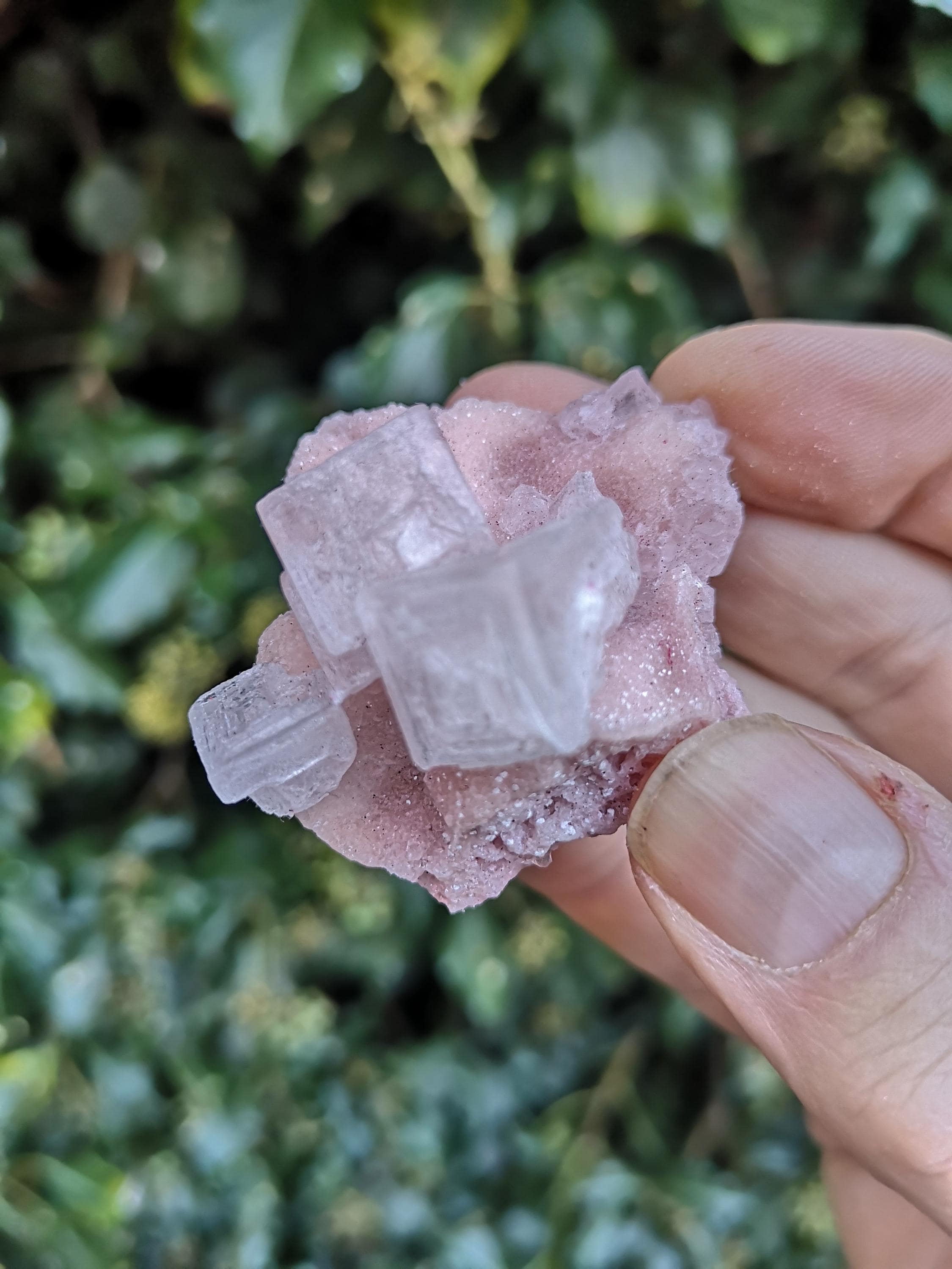 Pink Halite Specimen - Cubic Sparkly Pink Halite 23g - Halite Salt Rock ...