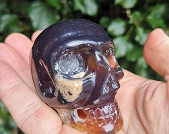 Amber Skull Carving 60g - Sumatran Hand Carved Amber Skull 53mm - Super Rare Amber Hand Carved Skull - UV Reactive Sumatran Amber