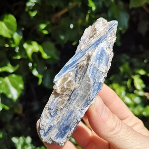 K&ouml;nnte beinhalten: Ein blauer Kyanit-Kristall mit silbernem Schimmer. Der Kristall ist rau und hat ein nat&uuml;rliches, rohes Aussehen.