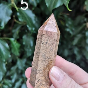 Puede incluir: Una punta de cristal de madera marr&oacute;n y negro con una punta puntiaguda. El cristal mide aproximadamente 12,7 cm de largo y tiene un aspecto natural y org&aacute;nico.
