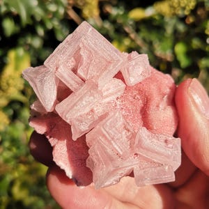 May include: A hand holds a cluster of pink crystals. The crystals are a translucent, pale pink colour and have a geometric, layered structure. The base is a darker, more opaque pink.