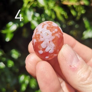 Orange Gobi Agate Stone 19.3g - Patterned Desert Agate Stone  -Orange Orbicular Patterned Gobi Desert Stone - Gobi Stone Last 1 this size!