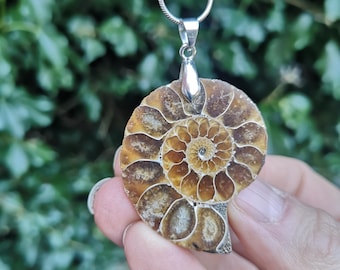 May include: A silver chain necklace with a brown and gold ammonite fossil pendant. The fossil has a spiral shape with intricate details.