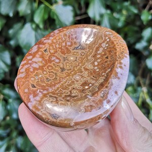 May include: A brown and white agate bowl with a smooth, polished surface. The bowl has a unique, swirling pattern of brown and white.
