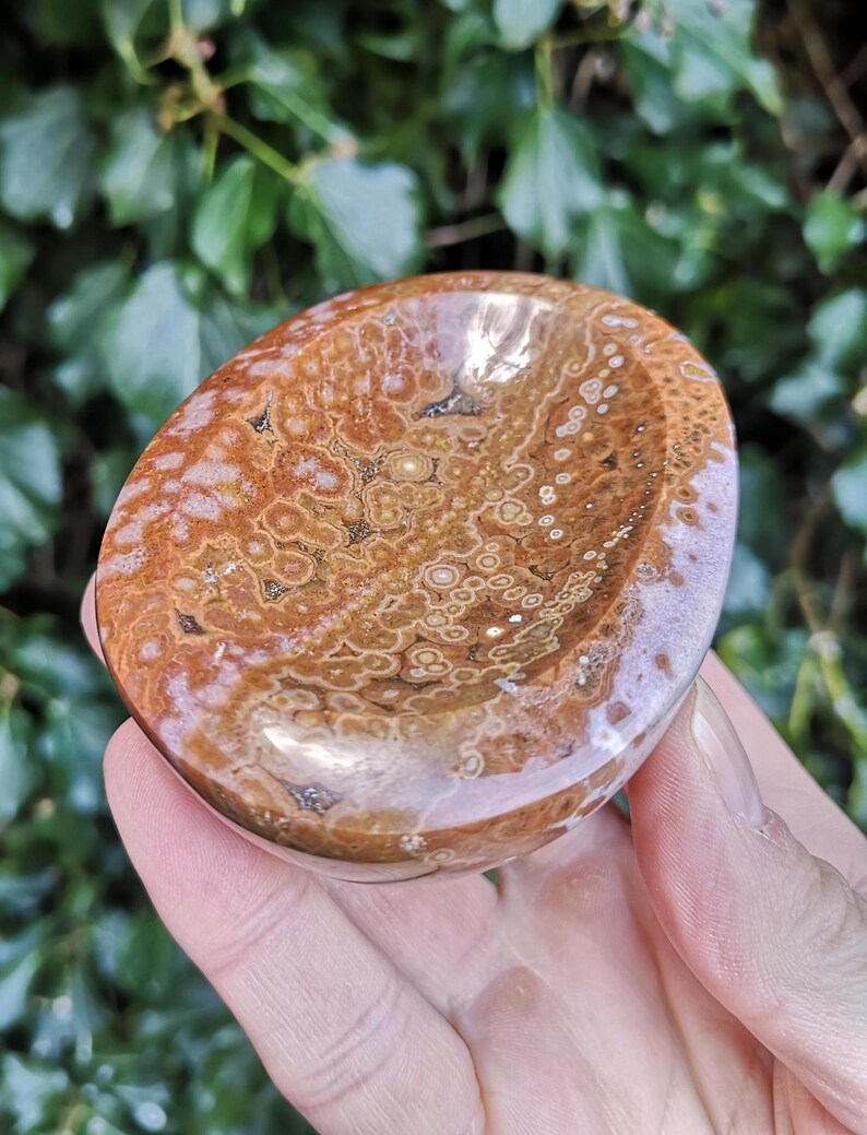 May include: A brown and white agate bowl with a smooth, polished surface. The bowl has a unique, swirling pattern of brown and white.