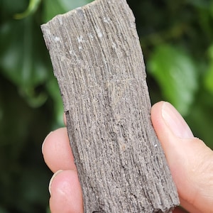 May include: A rectangular piece of petrified wood with a greyish-brown colour and a distinct vertical grain pattern. The surface shows a rough, fibrous texture that mimics the appearance of natural wood bark, with small white mineral deposits.