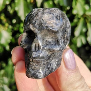 Larvikite Skull 103g Scroll Pattern -Flashy Scrolled Larvikite Skull 52mm - Black Moonstone Skull With Scroll Pattern Carving - Gothic Skull