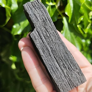 May include: A piece of black tourmaline crystal held in a hand. The tourmaline has a rough, textured surface with visible striations. The background is blurred green foliage. Tourmaline is often used for protection.