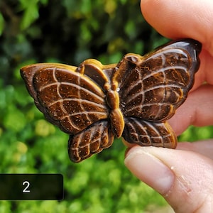 Tiger eye butterfly discount