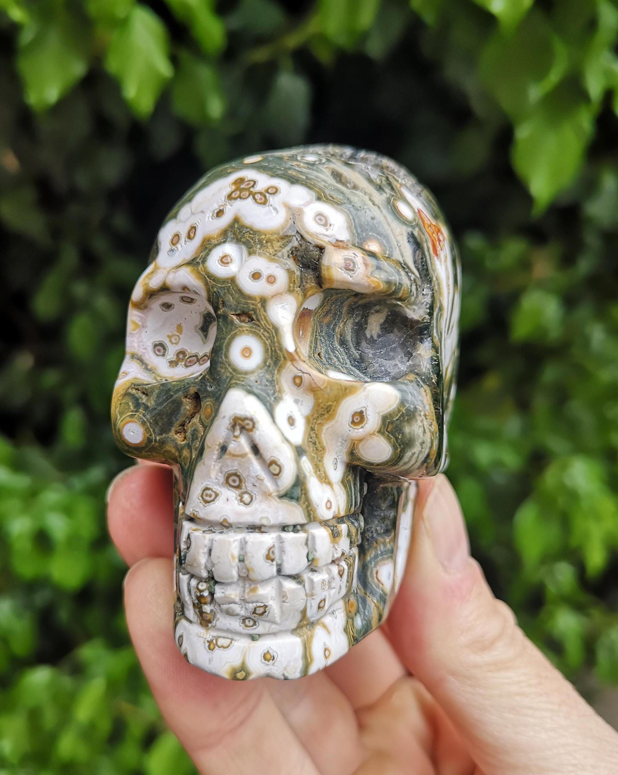 偉大な Ocean Jasper Skull - Etsy 置物