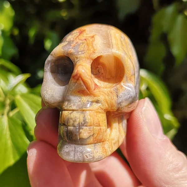 Yellow Crazy Lace Agate Skull - Rare Crazy Agate Skull Yellow & Grey 88g - 2 inch Gem Skull -Happiness Stone, ADHD Support -Lace Agate Skull