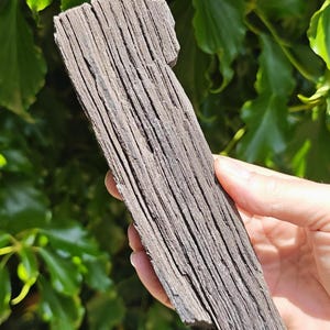 May include: A piece of weathered, grey wood with a rough, textured surface. The wood has visible grain lines and a rectangular shape. The background features green foliage, creating a natural contrast with the wood's muted tones.