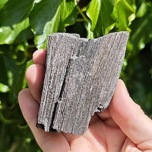 May include: A hand holding a piece of raw black kyanite. The kyanite displays a textured, striated surface with a dark grey colour and subtle sparkle. Green leaves form the background, offering a natural contrast to the dark mineral.