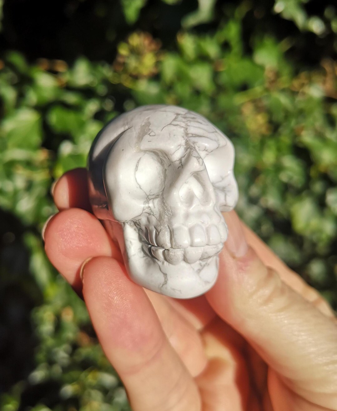 Howlite Crystal Skull - 2 Inch White Grey Howlite Carved Skull -91g ...