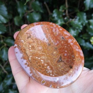 May include: A polished oval-shaped dish made from brown and white agate with a swirling pattern. The dish is perfect for holding small items like jewelry or crystals.
