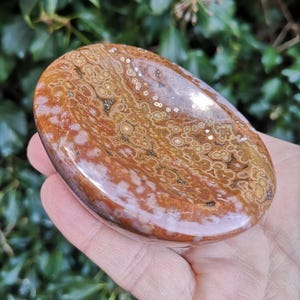 May include: A polished, round, brown and white agate stone with a swirling pattern of white and brown circles. The stone is smooth and has a glossy finish.