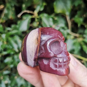 Mookaite Jasper Skull 86g - Hand Carved Mookaite Crystal Skull 2 inch - Burgundy, Red, Yellow & Cream Jasper Skull  - Nurturing Energy