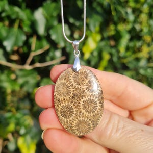 May include: A silver chain necklace with an oval pendant featuring a fossilized coral design. The pendant is brown and beige with a swirling pattern.
