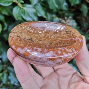 May include: A polished, brown and white agate bowl with a swirling pattern. The bowl is smooth and has a glossy finish.