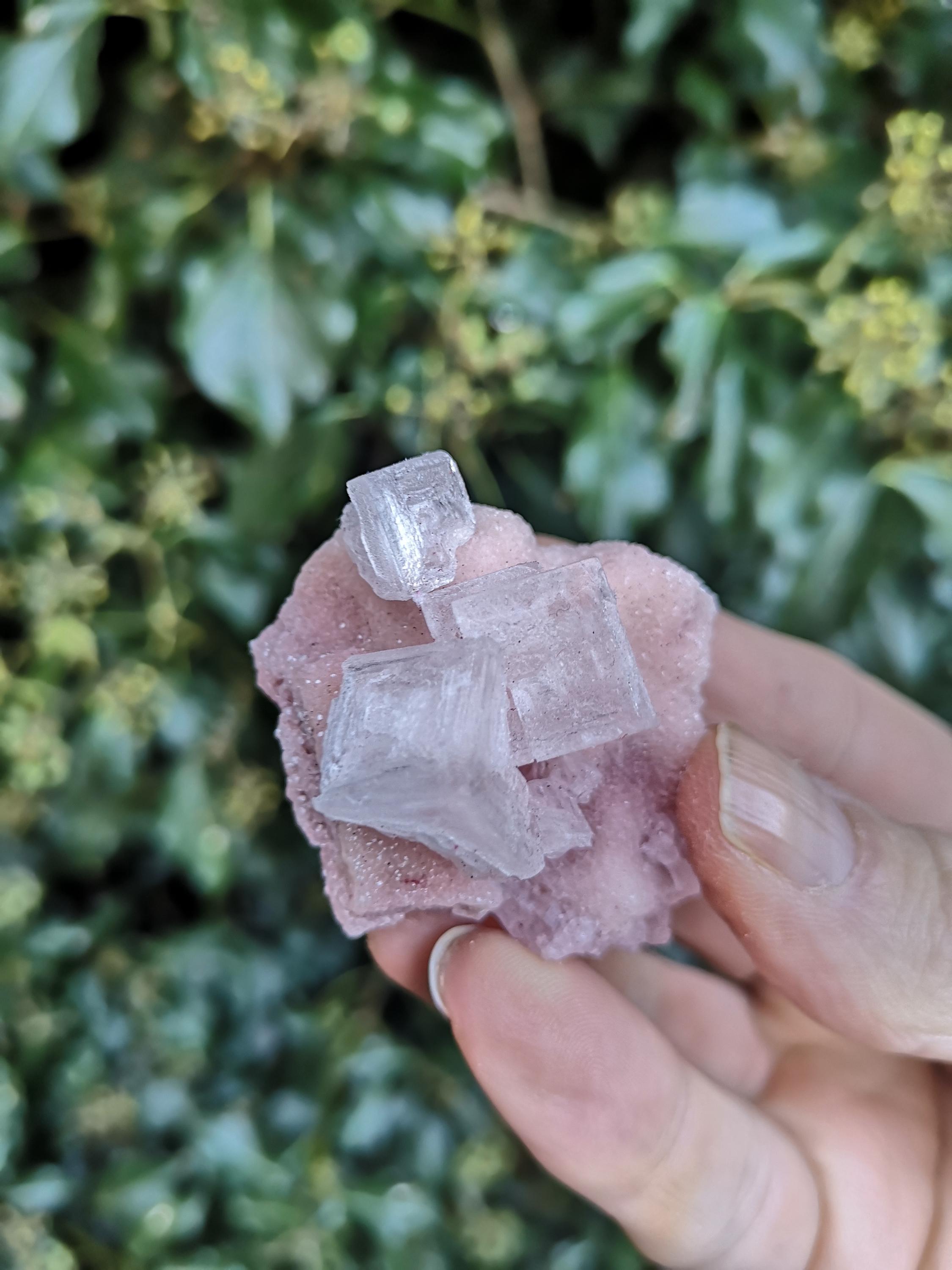 Pink Halite Specimen - Cubic Sparkly Pink Halite 23g - Halite Salt Rock ...