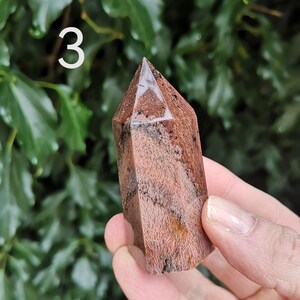 Puede incluir: Una punta de cristal roja y marr&oacute;n con una parte superior puntiaguda y una superficie lisa y pulida. El cristal se sostiene en una mano contra un fondo verde de hojas.